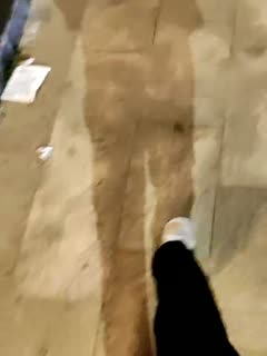 欧美1级精品A片,国产丝袜一区二区